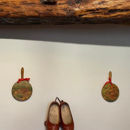 La Casa Del Maestro Nyaraló